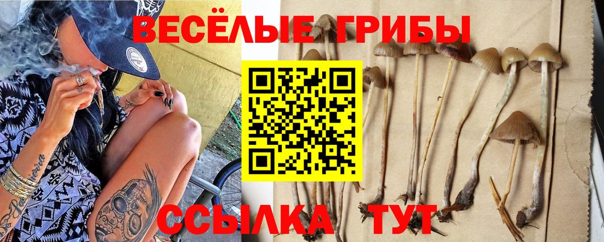 Галлюциногенные грибы Magic Shrooms Шарыпово