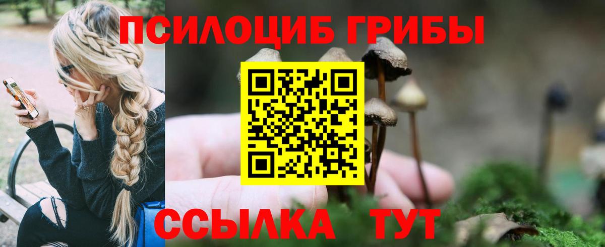Псилоцибиновые грибы MAGIC MUSHROOMS  Галлюциногенные грибы мицелий  Шарыпово  Вход с VPN 